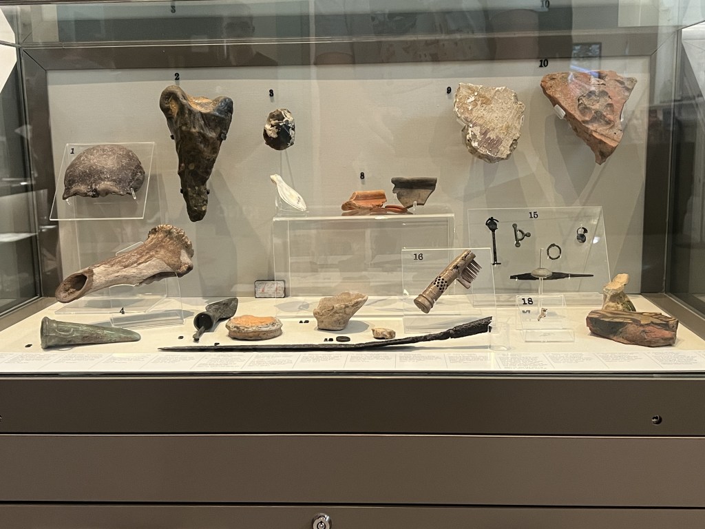 Display case containing various archaeological artifacts, including flint tools and pottery fragments, arranged with labels.